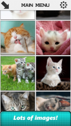 Cat Slide Puzzle screenshot 3