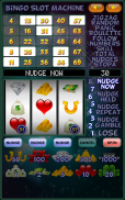 Bingo Slot Machine. screenshot 4