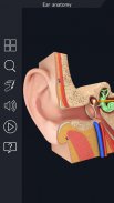 Ear Anatomy Pro. screenshot 0