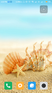 Seashell wallpaper HD screenshot 6