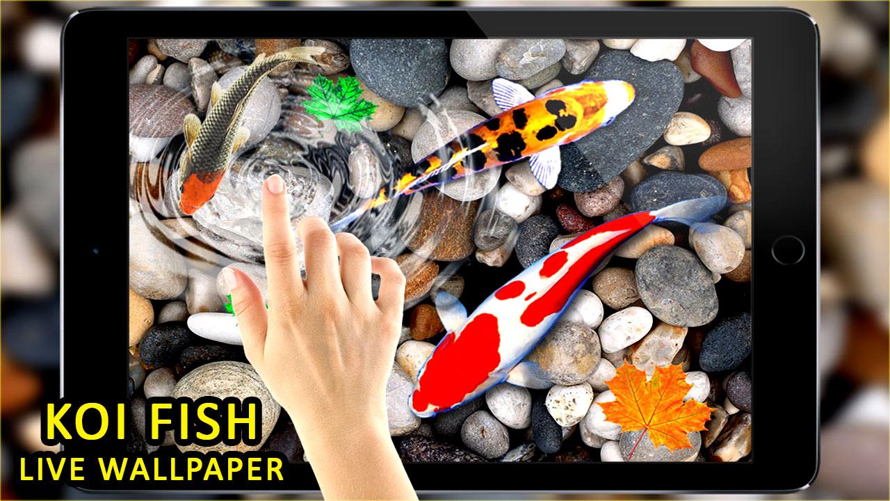 Live Fish Wallpapers HD - 3D Real Water Theme:Amazon.com:Appstore for  Android