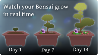 Pocket Bonsai screenshot 3