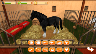 HorseWorld - Meu cavalo -  Jogo com cavalos screenshot 1
