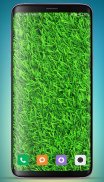 Grass wallpaper screenshot 6