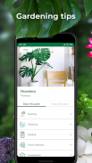PlantSnap - Identificador de plantas y flores screenshot 4