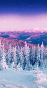 Winter Wallpaper HD screenshot 9