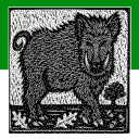 Nonogram/Picross Picture No.4 Icon
