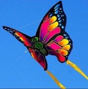 Beautiful Kites screenshot 7