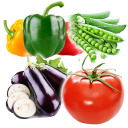 تعليم اسماء الخضروات | انواع الخضروات Icon