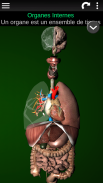 Organes Internes en 3D (Anatomie) screenshot 0