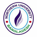 NUB Student Portal