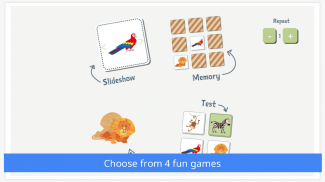 Learn Languages For Kids screenshot 3