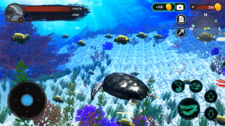 The Turtle screenshot 20