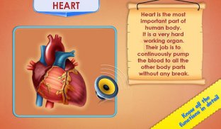 Human Body Parts - Kids Games screenshot 6