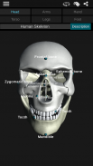 Système osseux 3D (anatomie) screenshot 6