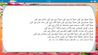Saraiki Poetry screenshot 4