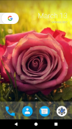 Rose Flower HD Wallpapers screenshot 0