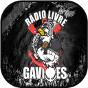 Rádio Livre Gaviões