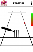 Blind Cricket screenshot 8