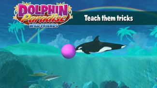 Dolphin Paradise: Wild Friends screenshot 2