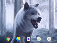 Wolf Video Live Wallpaper screenshot 8