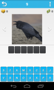 Animal Quiz screenshot 5