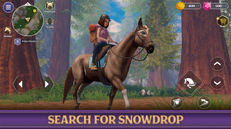 Star Equestrian - Horse Ranch screenshot 7