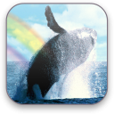 Whales Free Video Wallpaper Icon