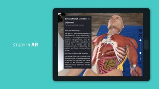 Complete Anatomy 19 for Android screenshot 9