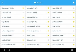 Collins Korean<>Turkish Dictionary screenshot 15