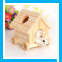 Cute Hamster Cage Design Ideas