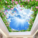 3D Ceiling Design