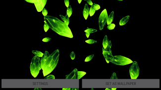 3D Crystals Particles Live Wallpaper screenshot 2