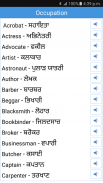 Daily Words English to Punjabi screenshot 4
