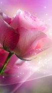 Pink Roses Live Wallpaper screenshot 6