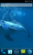 Video Wallpapers: Amazing Dolphins HD screenshot 0