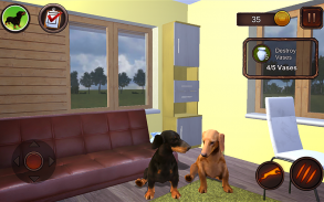 Dachshund Dog Simulator screenshot 20