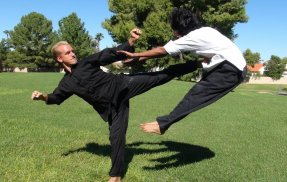 Learn Kung Fu Training 2020 screenshot 7