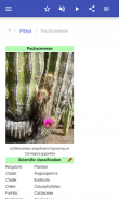 Cacti screenshot 3