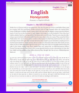 Class 7 English for 2024-25 screenshot 10