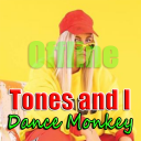 Dance Monkey - Tones and I Songs Offline