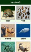 Animal Information in Marathi screenshot 7