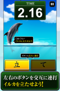 Can Dolphin Stand? screenshot 4