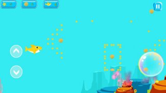 Sharky Adventure screenshot 5