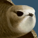 bird alert PRO icon