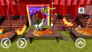 Charlie Circus 3D screenshot 8