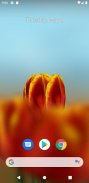 3D Tulip Live Wallpaper screenshot 0