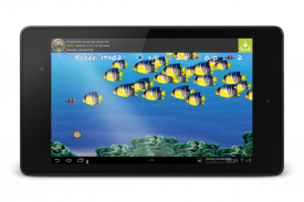 Wonder Fish नि: शुल्क खेलों HD screenshot 17