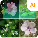 Plant identifier icon