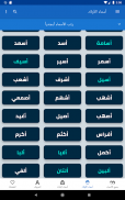 معاني الأسماء بدون نت screenshot 1